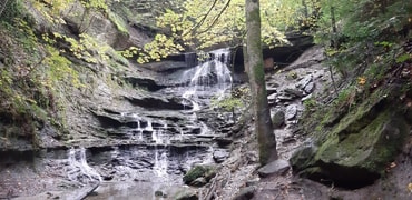 Auflugsziel: Die Hörschbachschlucht ist vom Hörschhof aus fußläufig erreichbar